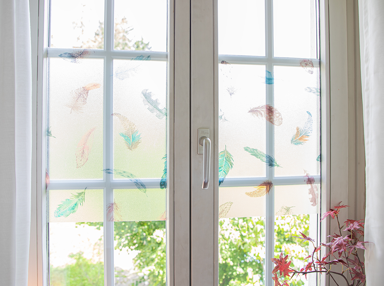Window pane pasted with privacy foil with colorful photorealistic feathers